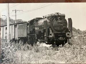 昭和鉄道写真：山陽本線走行中のD52 1[小郡]牽引貨物列車。1966年撮影。場所不明。2L判。
