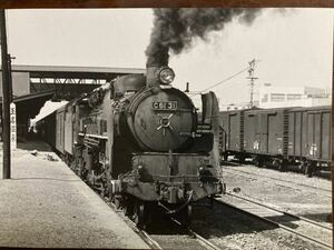 昭和鉄道写真：鹿児島本線玉名駅停車中のC60 31[鹿児島]牽引客レ。撮影時期不明。2L判。