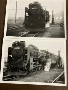 昭和鉄道写真：北海道滝川区のD51 561/2景。1974年頃撮影。7.7×11.1㎝。