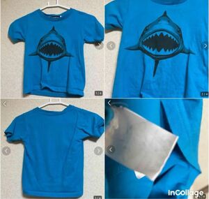 サメ　Tシャツ