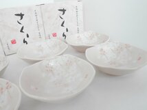 ●さくら　片岡鶴太郎　オリジナル　美濃焼　小鉢 お皿　小皿　6枚セット_画像4