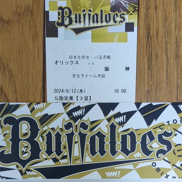 6/12 オリックス対阪神　S指定席　3塁　京セラドーム　