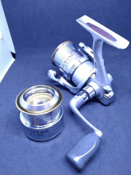 ダイワ ルビアス 2506 DAIWA LUVIAS スペアスプール