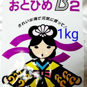 □おとひめB2 1kg 日清丸紅飼料 めだか グッピー らんちゅう稚魚