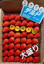 近日終了【限定１人様】春の王様★初★超大盛★農家直送～新鮮!☆佐賀のプレミアム　ベリー★約S玉～一番新鮮☆美味しいいちごです☆_画像1