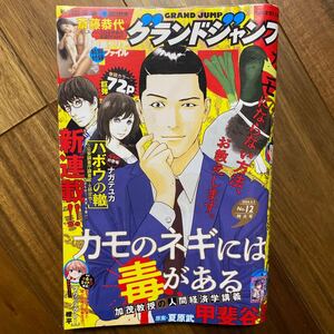 グランドジャンプ ２０２４年６月５日号 （集英社）表紙ヨレシミ有　表紙から数ページ汚れ有　裏表紙シミ有　付録無　管理番号A1933