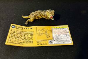  шоко Q 224tsusimayama кошка (.)