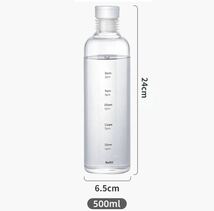 ウォーターボトル　500ml 韓国　アウトドア　スケルトン　タンブラー　水筒_画像2