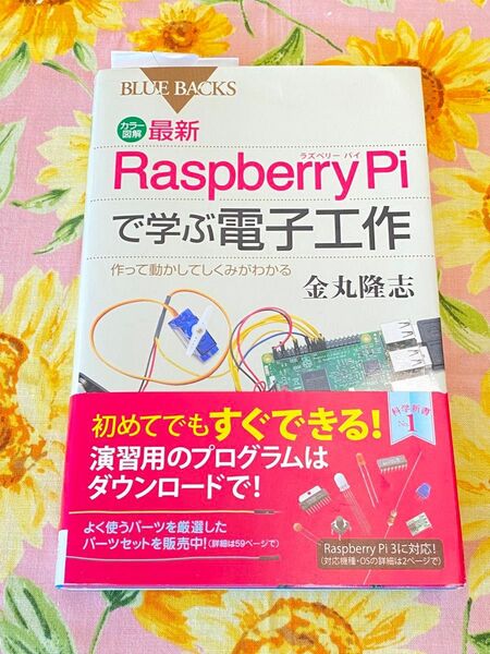 raspberry pi で学ぶ電子工作　ラズベリーパイ　ラズパイ　電子工作　自由研究　入門　演習