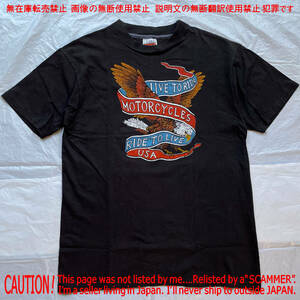 80 vintage カートコバーン 着同 Motercycle Tシャツ Live to Ride hanes USA nirvana / ハーレー Harley Davidson バイク sonic youth古着