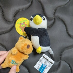 水族館購入　ペンギン抱きつきマスコット＋カピバラ　キーホルダー　セット