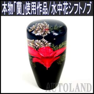 水中花シフトノブ/本物蘭/生花作品/90mm 9cm/赤色