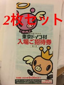 東京ドイツ村 入園ご招待券 チケット　2枚