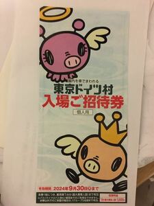 東京ドイツ村 入園ご招待券 チケット　2枚