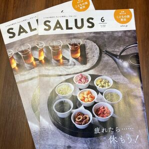 本日限定価格　『SALUS』（サルース）2024年6月号 2冊　#東急