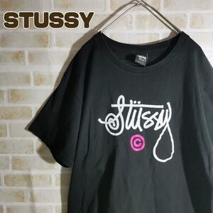 STUSSY ステューシー Tシャツ 半袖 黒