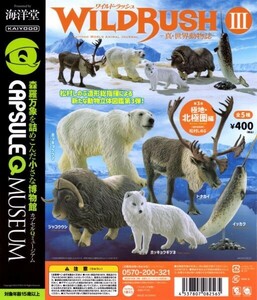 海洋堂 カプセルQ ミュージアム ワイルドラッシュ 真・世界動物誌 Vol.3 極地・北極圏編 全5種類