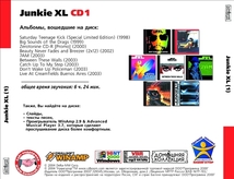 JUNKIE XL CD1+CD2 大全集 MP3CD 2P⊿_画像2