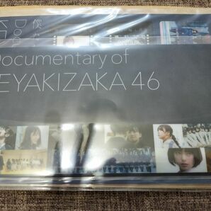 未開封☆欅坂46「 僕たちの嘘と真実 」クリアしおり＋ マスクケース 映画グッズ
