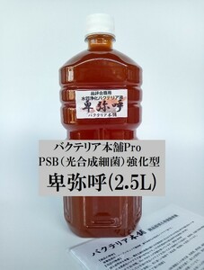 [ официальный * бактерии главный офис ]PSB усиленный Himiko товар оценка . для качество воды .. составной бактерии жидкость (2.5L)