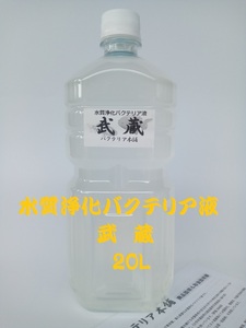 【バクテリア本舗】武蔵 [20L]高濃度水質浄化バクテリア液(らんちゅう,めだか,グッピー,金魚,錦鯉,シュリンプ,熱帯魚,海水魚）