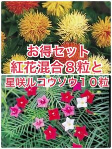 紅花混合8粒とルコウソウ赤・白・ピンクミックス10粒と2種のおまけ付き！