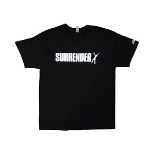 Chemical Brothers Tシャツ ケミカル・ブラザーズ Surrender XL