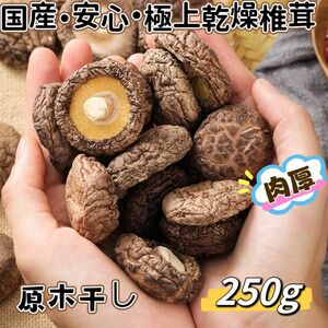 国産・肉厚・原木干し椎茸　　(250g)