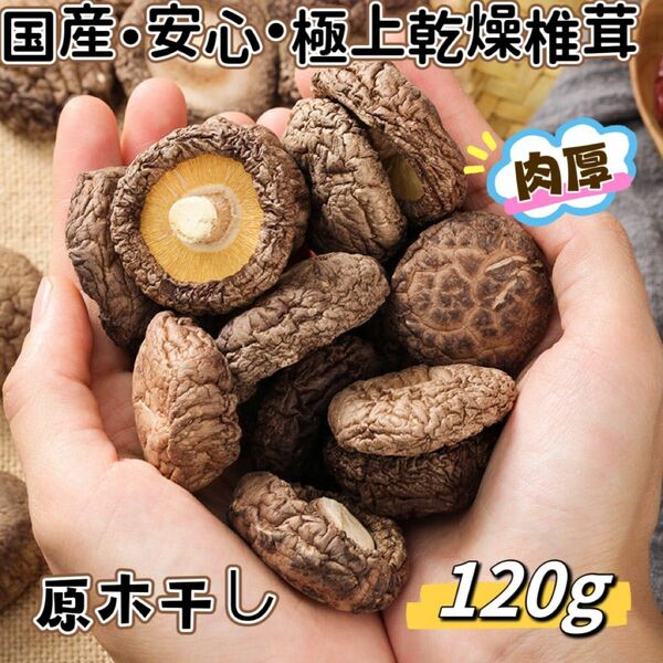 超人気・国産・肉厚・美味しい・原木干し椎茸　　(120g)