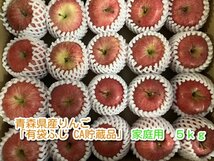 青森県産りんご「有袋ふじ」家庭用 約5kg 【クール便 フルーツキャップ CA貯蔵】②_画像1