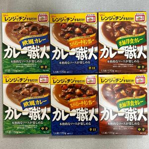 カレー職人 欧風カレー、スパイシーチキンカレー、老舗洋食カレー 全6個セット