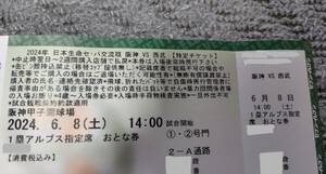 6月8日(土)阪神甲子園球場　阪神vs西武 1塁側アルプス　通路側　大人1枚