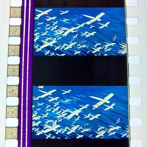 ◆千と千尋の神隠し◆35mm映画フィルム　6コマ【368】◆スタジオジブリ◆　[Spirited Away][Studio Ghibli]