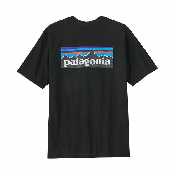 パタゴニア　ティシャツ