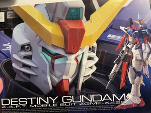 RG Destiny Gundam Gundam SEED Destiny RG ZGMF -X42S новый товар нераспечатанный товар не собранный товар 