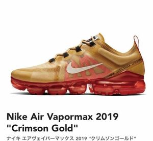 NIKE AIR VAPORMAX 2019　 ナイキ エア ヴェイパーマックス 2019 27.5cm