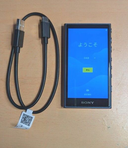 WALKMAN Aシリーズ NW-A100シリーズ NW-A105HN（L） ブルー　イヤホン欠品