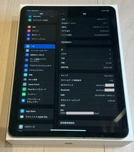 iPad Pro 11 2018 (第1世代) Wi-Fi+Cellular 64GB SIMフリー スペースグレー エクスプレス交換品 バッテリー良好_画像1