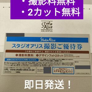 ★スタジオアリス　撮影料無料　デザインフォト　2カット