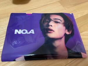 NOA グッズ