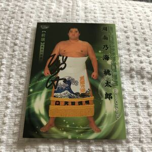 BBM 2024 large sumo . Shonan . sea peach Taro autograph autograph card 