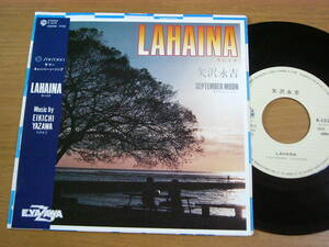 EPs645／矢沢永吉：LAHAINA ラハイナ/SEPTEMBER MOON.