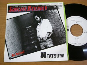 EPu281／【白ラベル】巽 TATSUMI：SIBELIAN RAILROAD/BE ACTIVE 水谷公生.