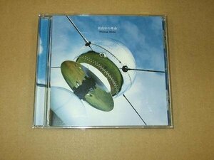 CD042v: flying * Kids | подлинный ночь средний. переворот 