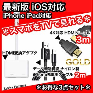 3点 3m iPhone iPad HDMI 変換アダプタ ケーブル テレビ モニター iPhone14 13 スマホ テレビ接続