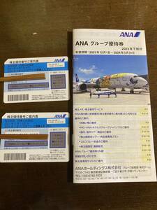 送料込　全日空　2枚　＆　冊子　〜2024.5.31 ANA