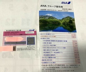 ANA優待券+グループガイド冊子付【送料無料】