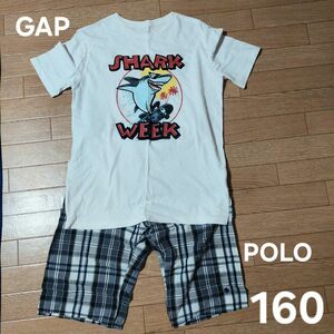 部屋着　半袖パジャマ　160　GAP　POLO RALPH LAUREN