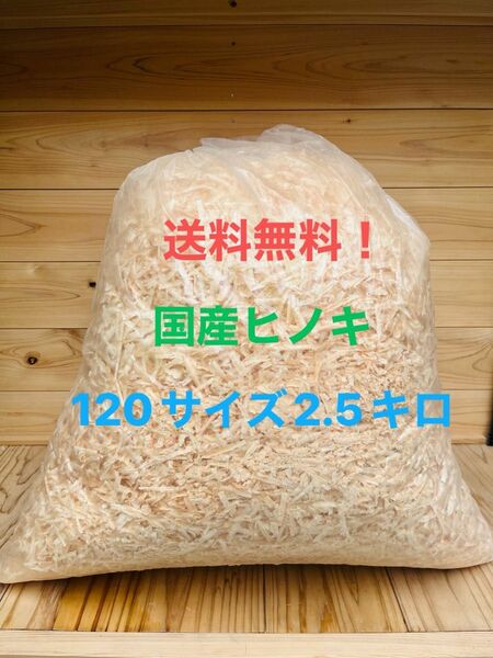 送料無料！　国産ヒノキ　九州産　かんなくず　120サイズ2.5キロ　消臭剤　ペット　おがくず　ハムスター　ヒノキマット