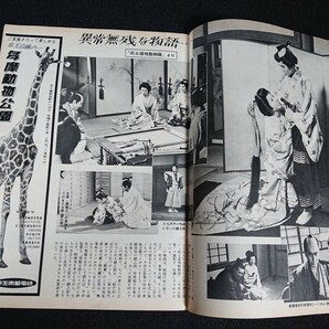 【東映の友】1963年(昭和38年)4月号 表紙:鶴田浩二 高倉健 /千葉真一 三田佳子 中村錦之助 有馬稲子 美空ひばり 三国連太郎 千原しのぶ 他の画像5